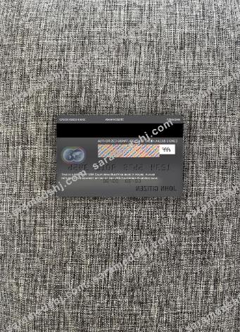 USA California BlueVine bank mastercard photolook back
